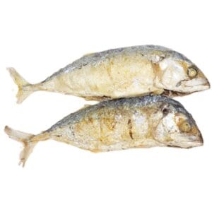 salted mackerel