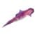 Cuttlefish cleaned fresh whole seafood rich in protein tender texture buy online