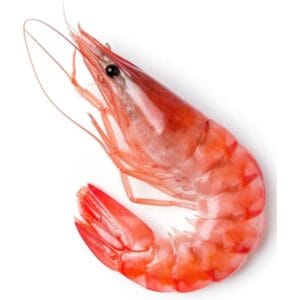 RED SEA PRAWNS / JINGA / SUNGOT
