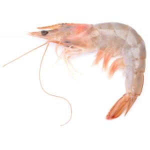 WHITE PRAWNS / JINGA / SUNGOT