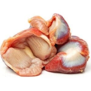 Fresh chicken gizzard closeup