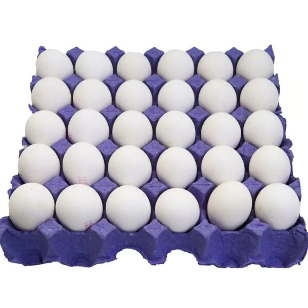 EGGS / ANDA