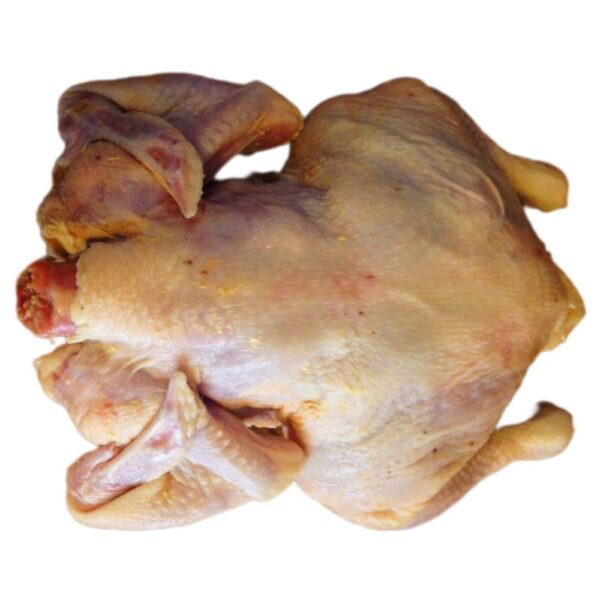 Fresh turkey meat, lean and versatile, perfect for roasting, grilling, or adding to healthy and delicious meals