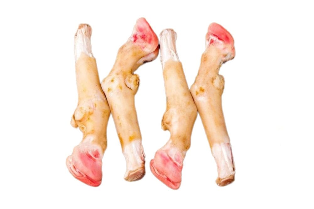 MUTTON TROTTERS / PAYA