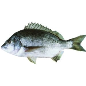 BLACK BREAM / KALA DHOL / PALU