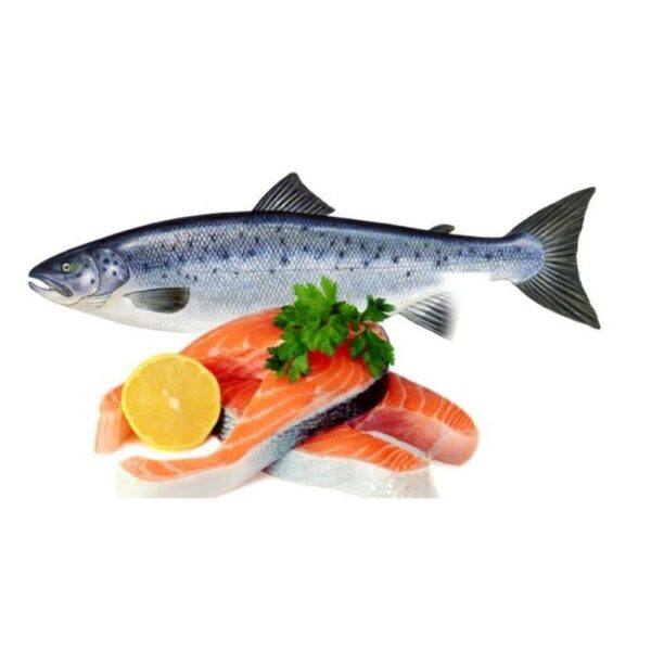 FRESH NORWEGIAN ATLANTIC PINK SALMON